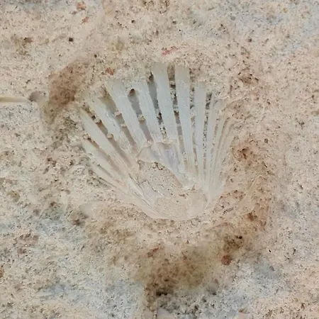 Fiore Di Loto * Matera